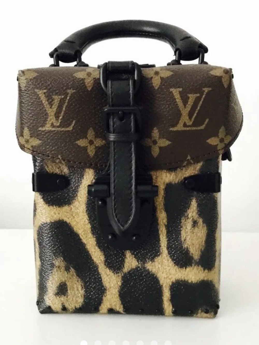 Louis Vuitton Monogram Leopard Camera Box
